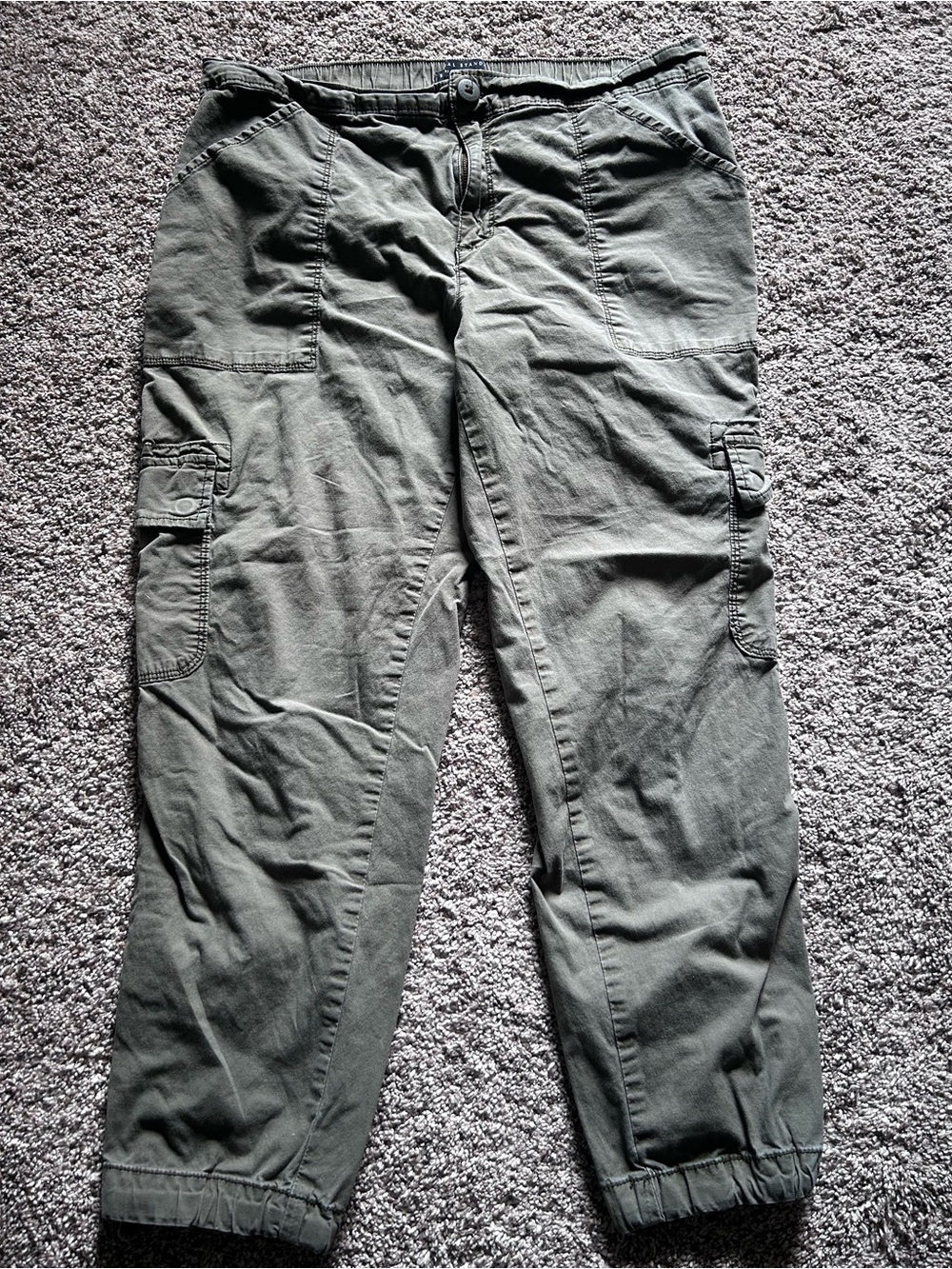 Sanctuary Social Standard Olive Green Cropped Cargo Pants 12